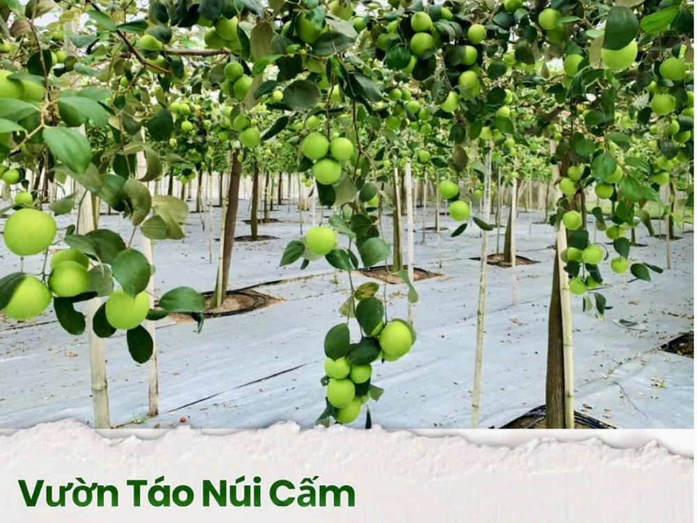 Công Ty Cổ Phần PHÁT TRIỂN DU LỊCH AN GIANG (ANDESCO)