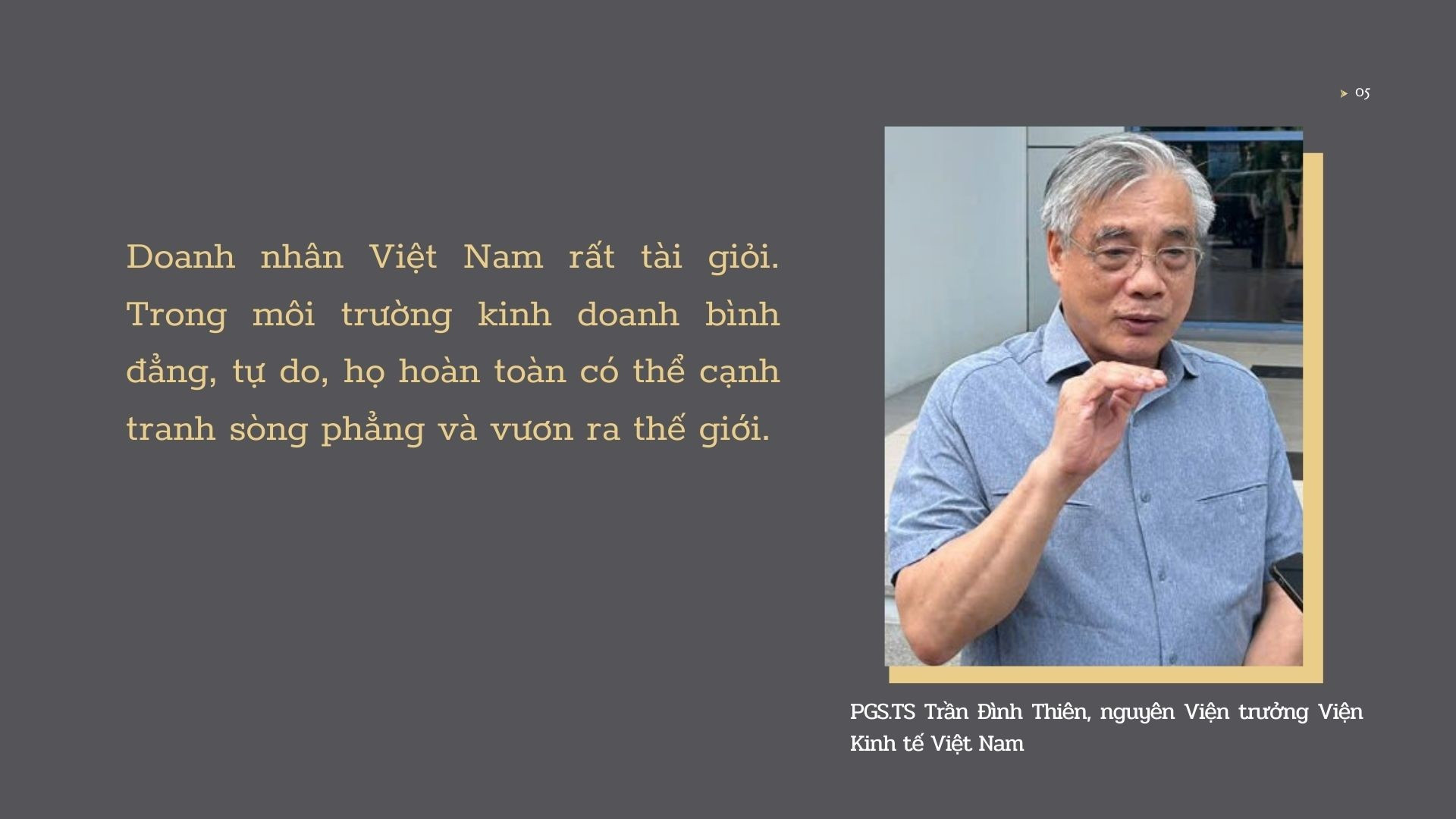 PGS.TS Trần Đình Thiên, nguyên Viện trưởng Viện Kinh tế Việt Nam