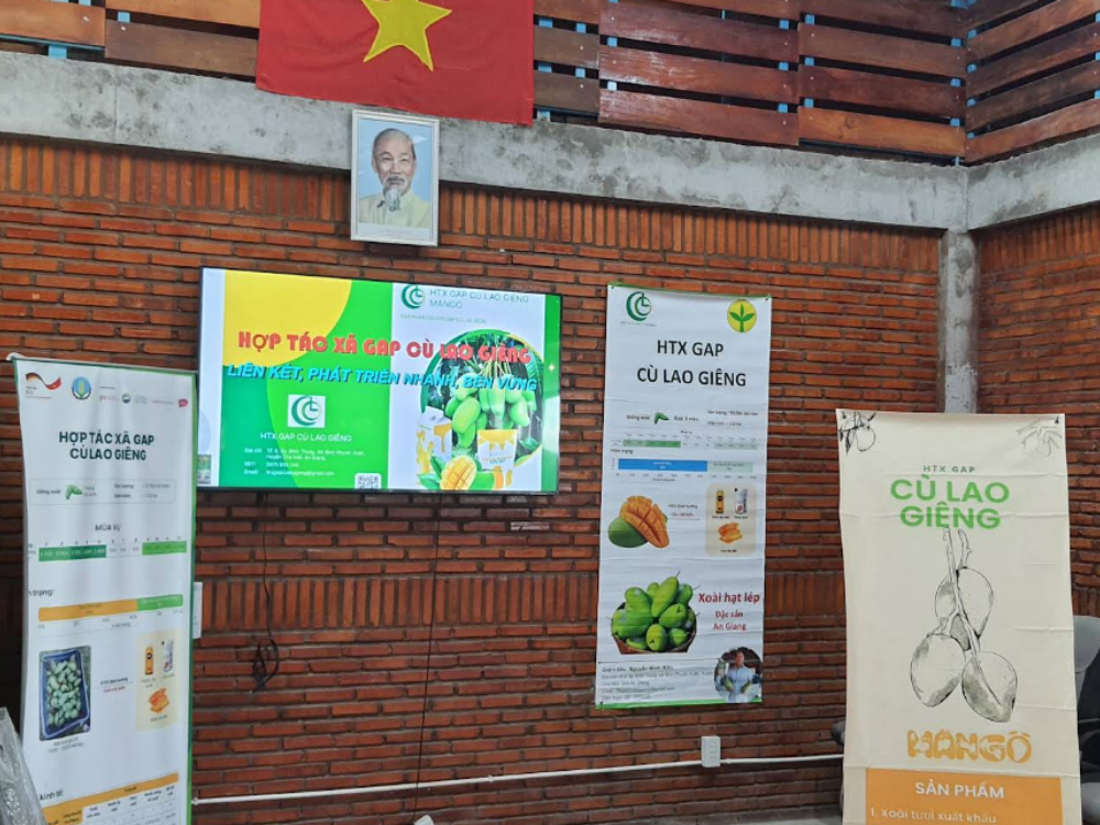 gap cù lao giêng
