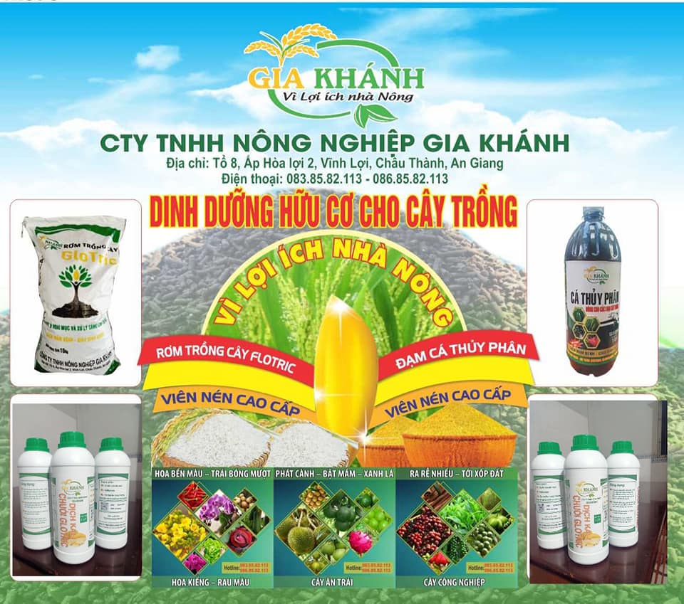 sản phẩm