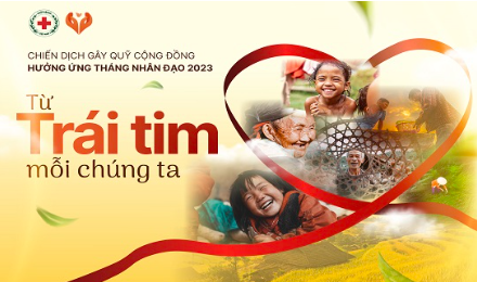 tmdt
