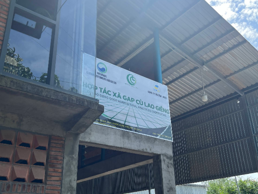hợp tác xã gap cù lao giêng